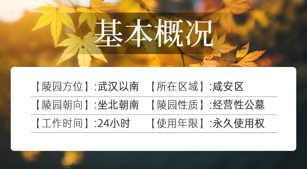 陵园模板1.jpg