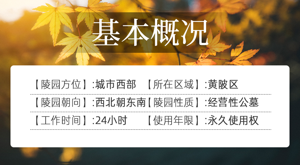 陵园模板1.jpg